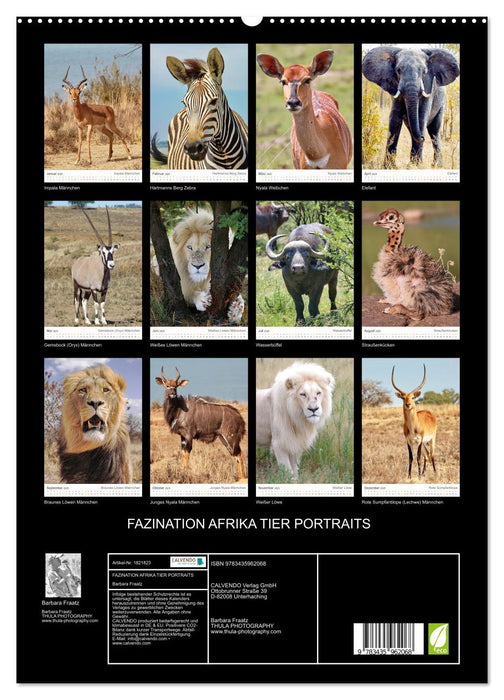 FAZINATION AFRIKA TIER PORTRAITS (CALVENDO Premium Wandkalender 2025)