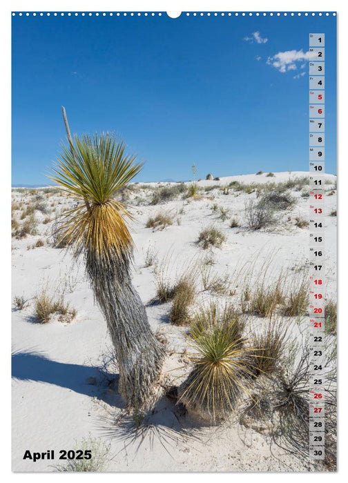 WHITE SANDS NATIONAL MONUMENT Wüstenimpressionen (CALVENDO Wandkalender 2025)