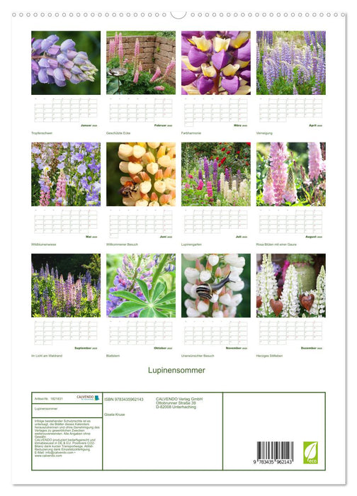 Lupinensommer (CALVENDO Premium Wandkalender 2025)