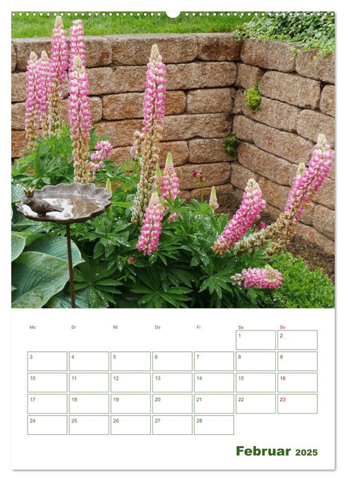 Lupinensommer (CALVENDO Premium Wandkalender 2025)