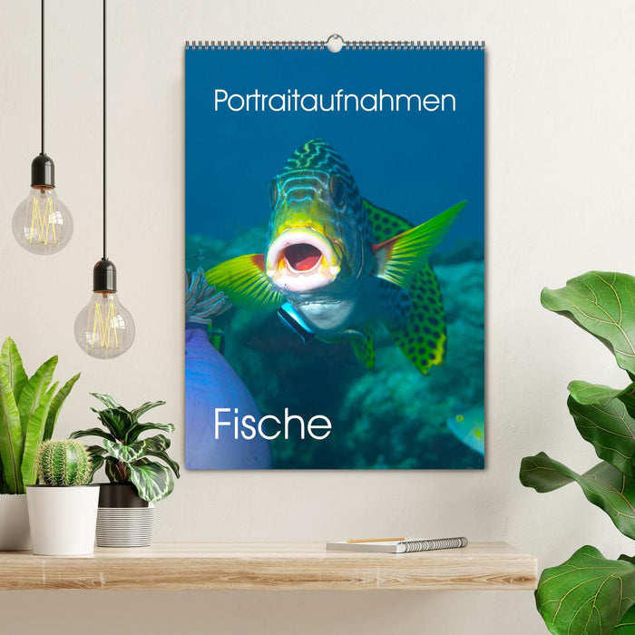 Portraitaufnahmen - Fische (CALVENDO Wandkalender 2025)