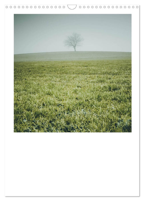 Rosenheim und Umgebung ... Landschaft genießen (CALVENDO Wandkalender 2025)