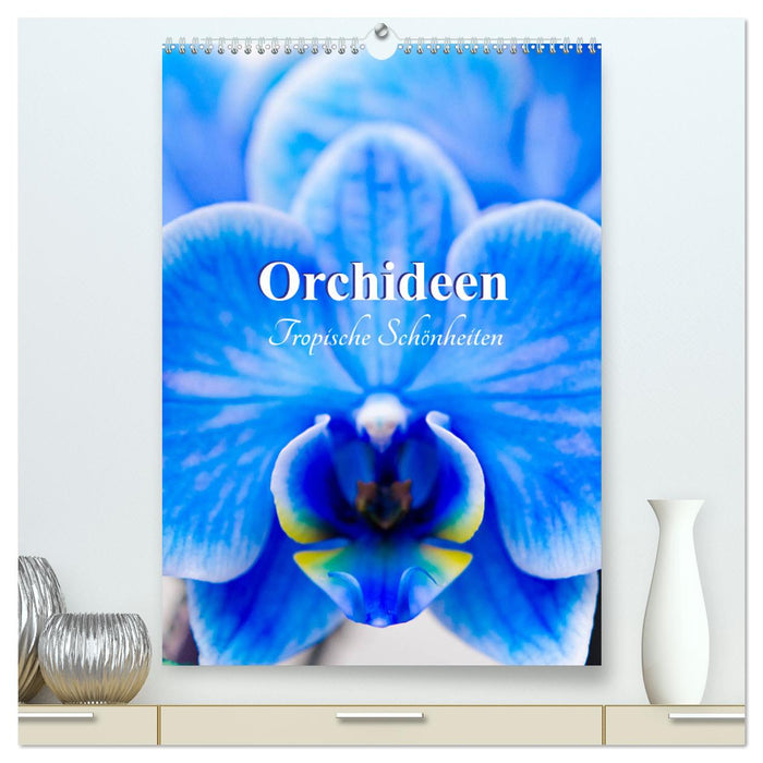 Orchideen - Tropische Schönheiten (CALVENDO Premium Wandkalender 2025)