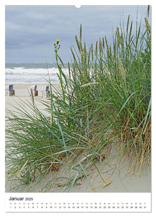 Norderney - Inselliebe (CALVENDO Premium Wandkalender 2025)