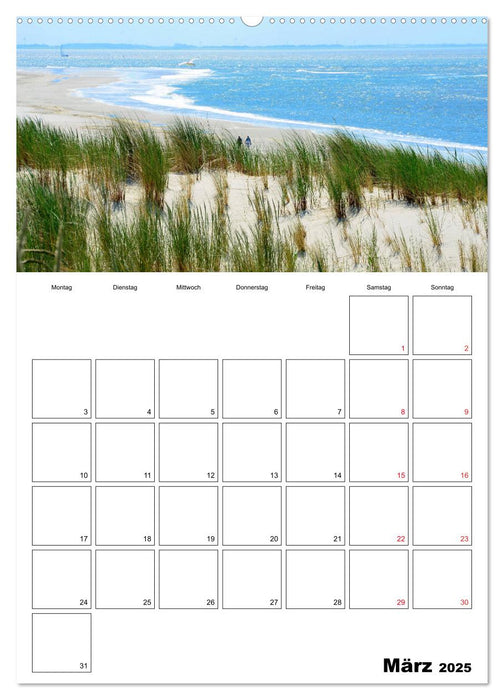 Langeoog - eine Trauminsel (CALVENDO Premium Wandkalender 2025)