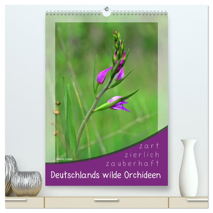 Deutschlands wilde Orchideen (CALVENDO Premium Wandkalender 2025)