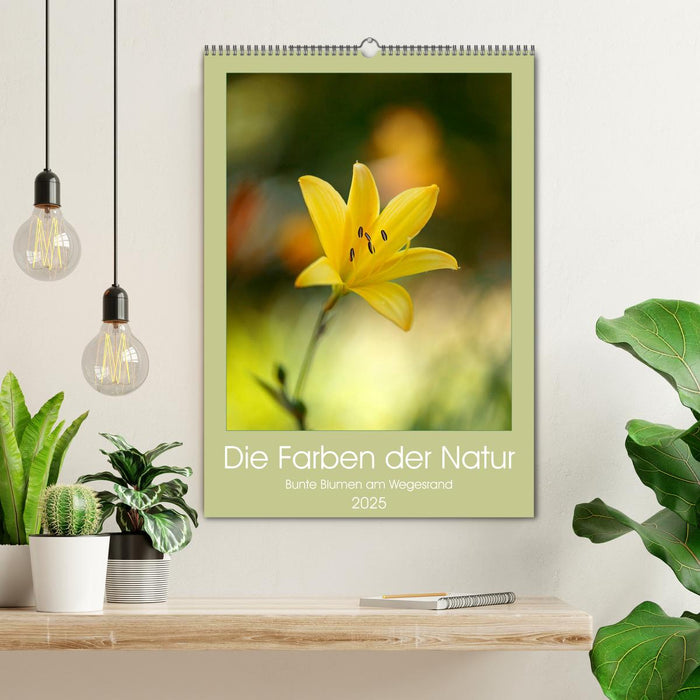 Colors of Nature (CALVENDO Wandkalender 2025)