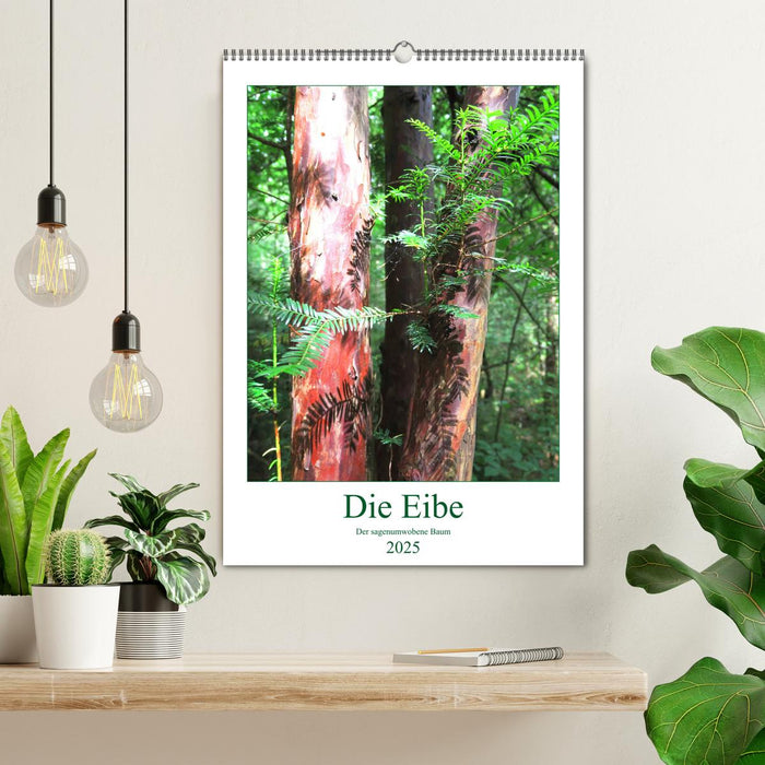 Die Eibe - Der sagenumwobene Baum (CALVENDO Wandkalender 2025)