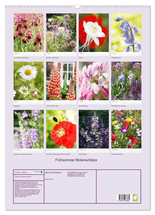 Frühsommer Blütenschätze (CALVENDO Wandkalender 2025)