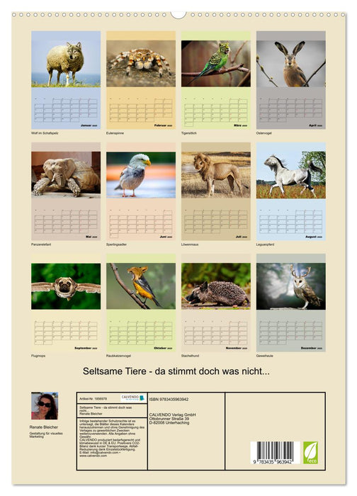 Seltsame Tiere - da stimmt doch was nicht... (CALVENDO Premium Wandkalender 2025)