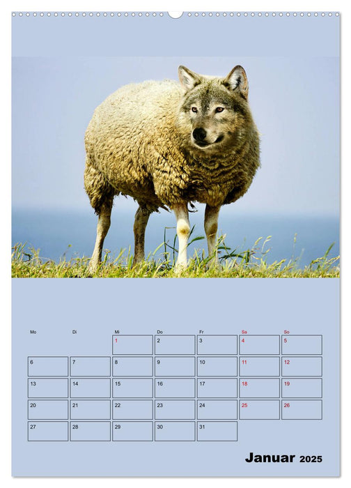 Seltsame Tiere - da stimmt doch was nicht... (CALVENDO Premium Wandkalender 2025)