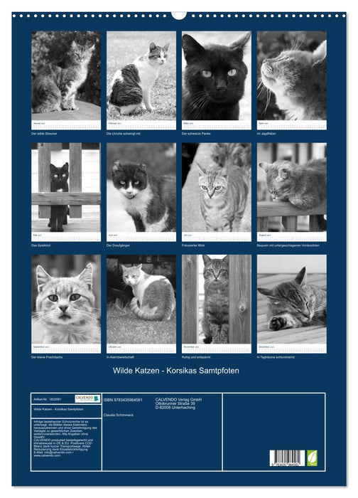 Wilde Katzen - Korsikas Samtpfoten (CALVENDO Wandkalender 2025)