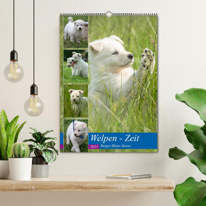 Welpen Zeit - Berger Blanc Suisse (CALVENDO Wandkalender 2025)