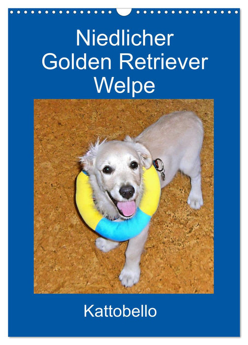 Niedlicher Golden Retriever Welpe (CALVENDO Wandkalender 2025)