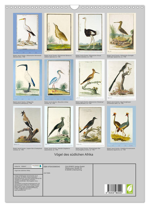 Vögel des südlichen Afrika (CALVENDO Wandkalender 2025)