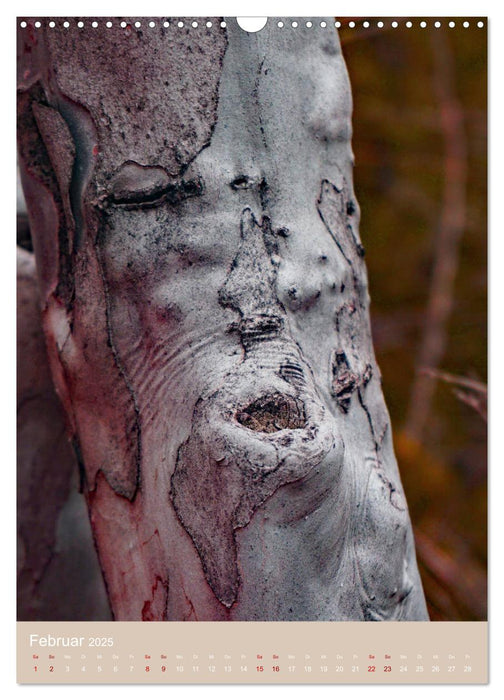 Die Seele der Bäume (CALVENDO Wandkalender 2025)