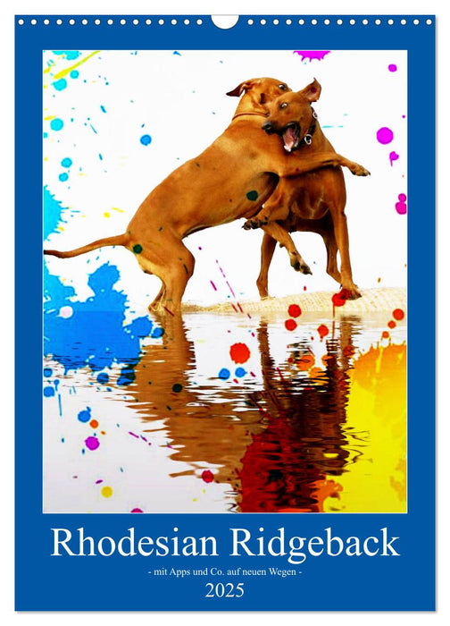 Rhodesian Ridgeback - mit Apps und Co.auf neuen Wegen - (CALVENDO Wandkalender 2025)