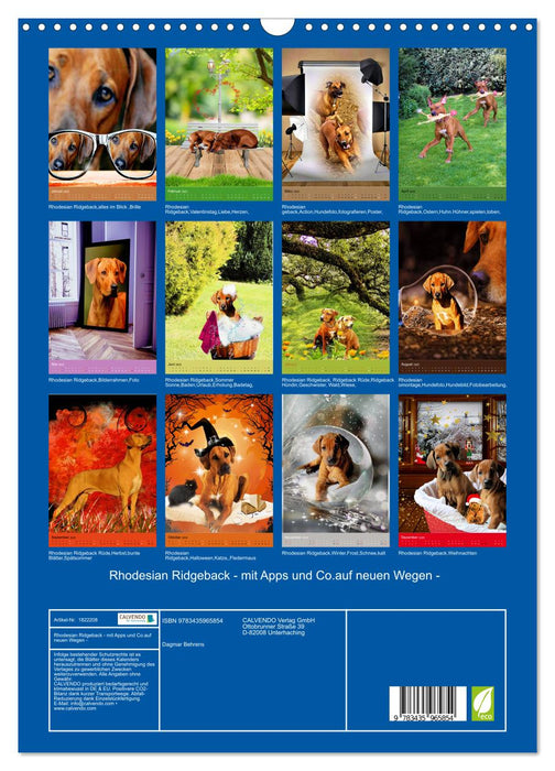 Rhodesian Ridgeback - mit Apps und Co.auf neuen Wegen - (CALVENDO Wandkalender 2025)