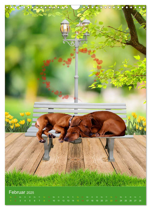 Rhodesian Ridgeback - mit Apps und Co.auf neuen Wegen - (CALVENDO Wandkalender 2025)