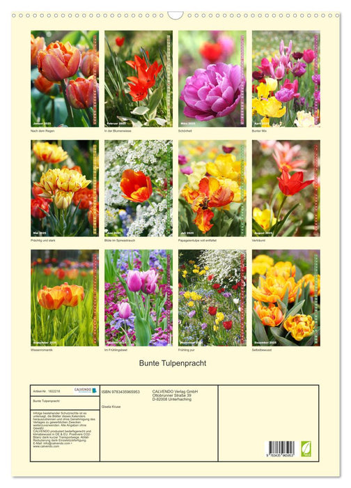 Bunte Tulpenpracht (CALVENDO Wandkalender 2025)