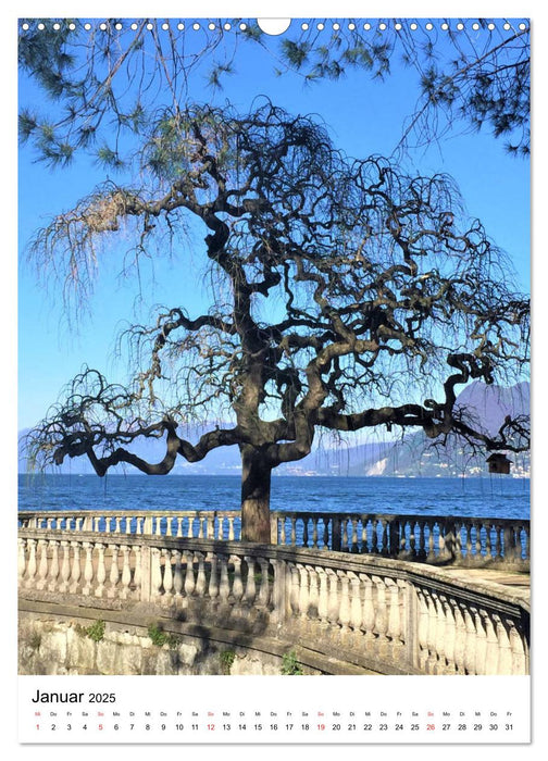 Traumhafter Lago Maggiore (CALVENDO Wandkalender 2025)