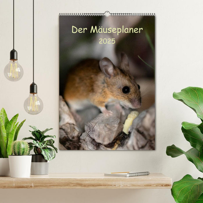 Der Mäuseplaner (CALVENDO Wandkalender 2025)