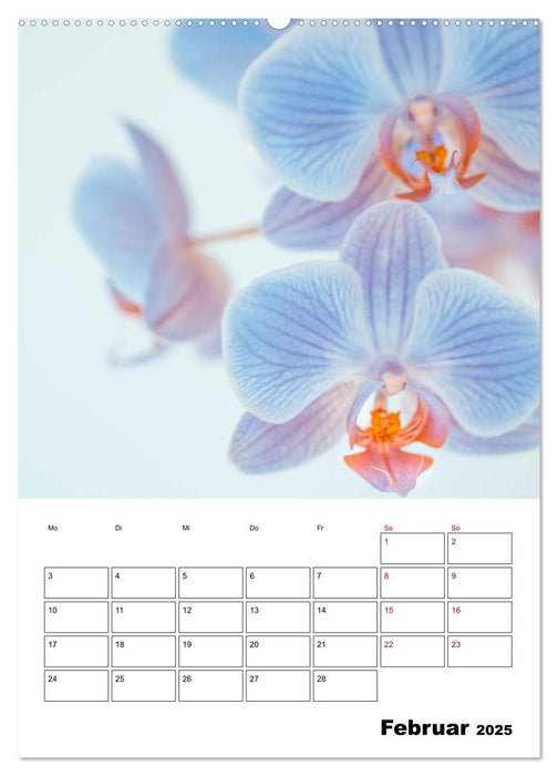 Blütentraum in Blau (CALVENDO Wandkalender 2025)