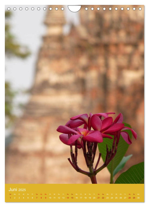 Thailand - Tempel und Buddhas (CALVENDO Wandkalender 2025)