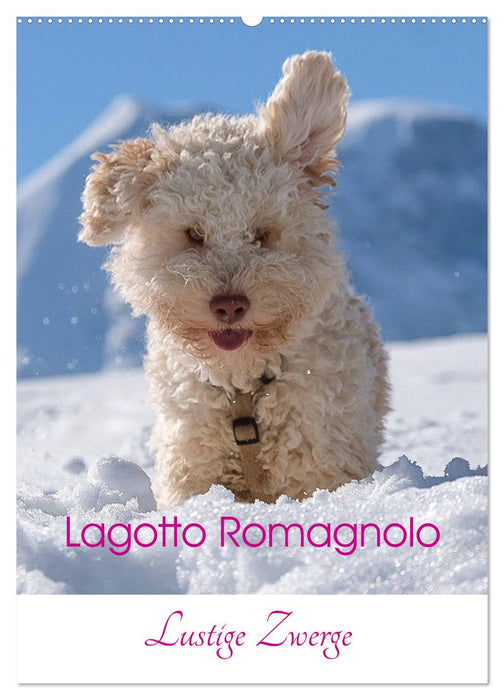 Lagotto Romagnolo - Lustige Zwerge (CALVENDO Wandkalender 2025)