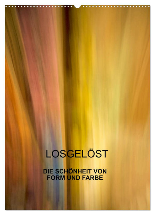 Losgelöst (CALVENDO Wandkalender 2025)