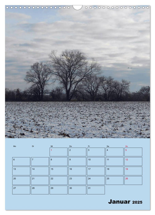 Leinemasch (CALVENDO Wandkalender 2025)