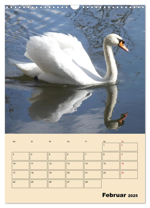 Leinemasch (CALVENDO Wandkalender 2025)