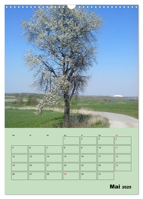 Leinemasch (CALVENDO Wandkalender 2025)