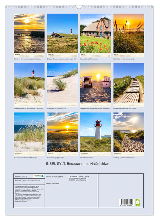 INSEL SYLT, Berauschende Natürlichkeit (CALVENDO Wandkalender 2025)