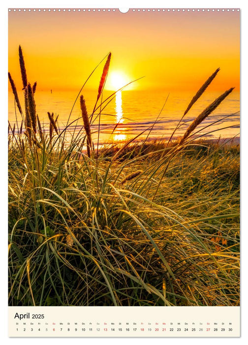 INSEL SYLT, Berauschende Natürlichkeit (CALVENDO Wandkalender 2025)