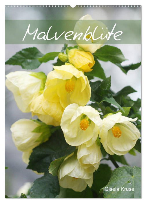 Malvenblüte (CALVENDO Wandkalender 2025)