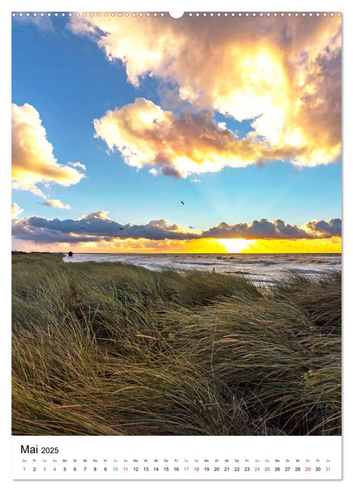 Halbinsel Darss, Portrait der Küstengemeinden (CALVENDO Wandkalender 2025)