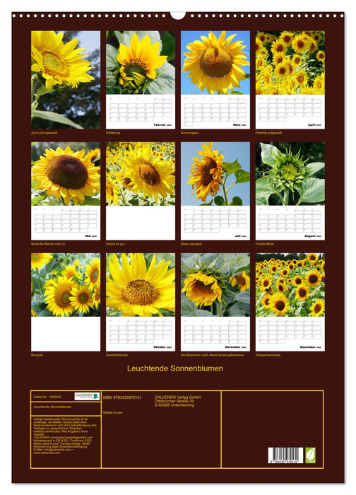 Leuchtende Sonnenblumen (CALVENDO Wandkalender 2025)