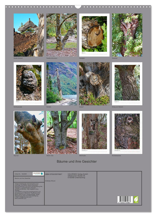 Bäume und ihre Gesichter (CALVENDO Wandkalender 2025)