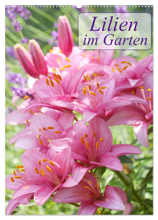 Lilien im Garten (CALVENDO Wandkalender 2025)