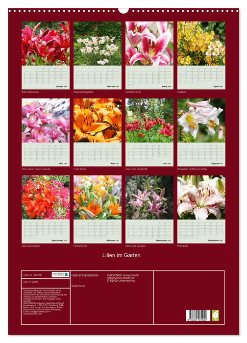 Lilien im Garten (CALVENDO Wandkalender 2025)