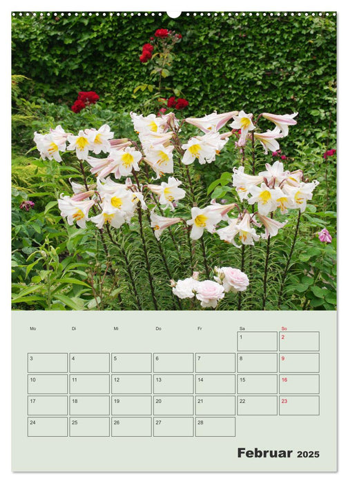 Lilien im Garten (CALVENDO Wandkalender 2025)