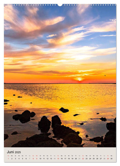 Borkum Strandspaziergang (CALVENDO Wandkalender 2025)