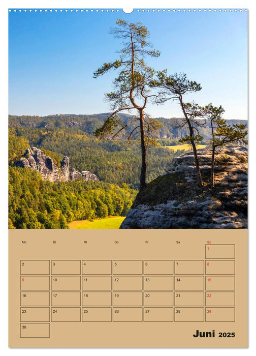 Zauberhafte Sächsische Schweiz (CALVENDO Wandkalender 2025)