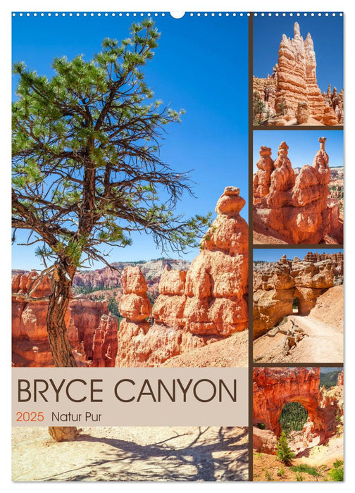 BRYCE CANYON Natur Pur (CALVENDO Wandkalender 2025)