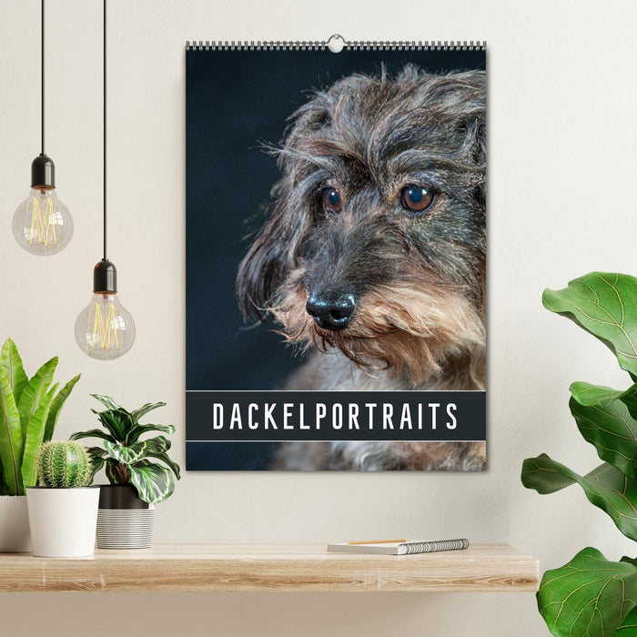 Dackelportraits (CALVENDO Wandkalender 2025)