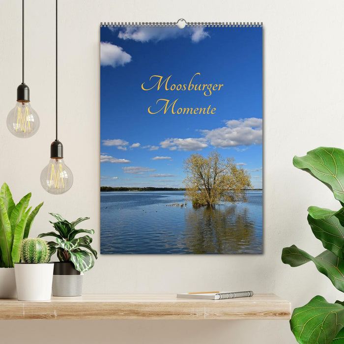 Moosburger Momente (CALVENDO Wandkalender 2025)