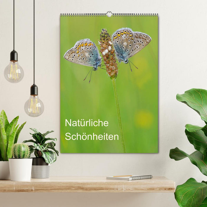 Insekten,Schönheiten der Natur (CALVENDO Wandkalender 2025)