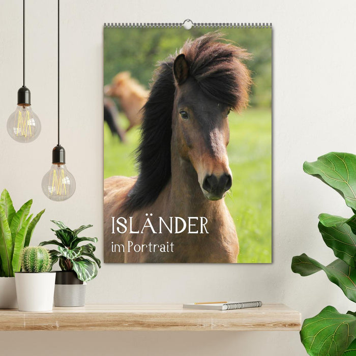 Isländer im Portrait (CALVENDO Wandkalender 2025)