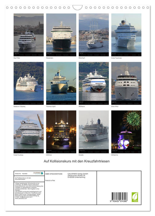 Auf Kollisionskurs mit den Kreuzfahrtriesen (CALVENDO Wandkalender 2025)
